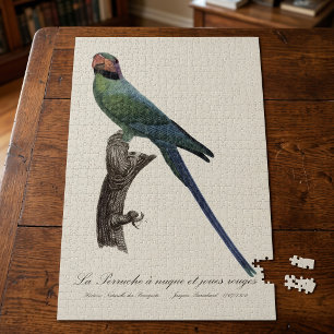 Long-Tailed Parakeet, Psittacula Longicauda Jigsaw Puzzle