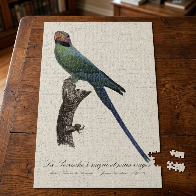 Long-Tailed Parakeet, Psittacula Longicauda Jigsaw Puzzle (Long-Tailed Parakeet, Psittacula Longicauda. Jigsaw Puzzle)