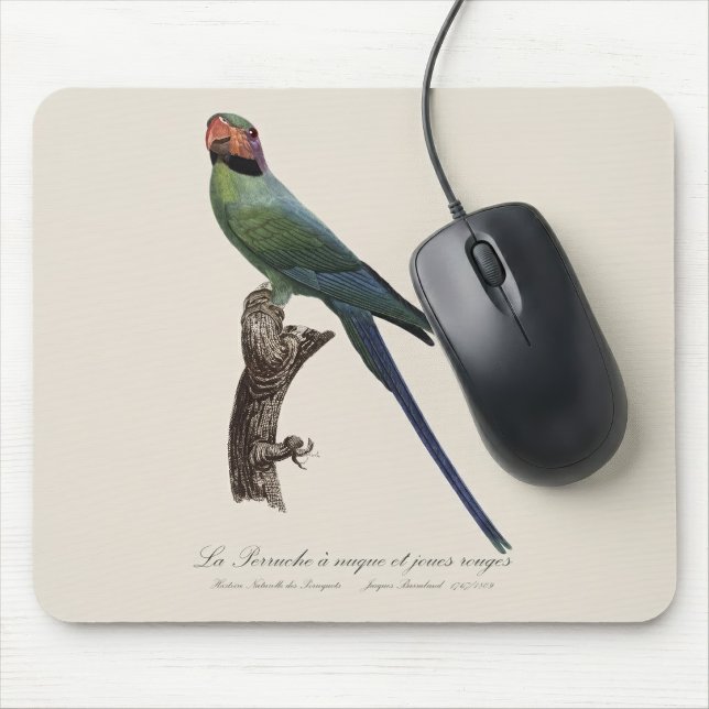 Long-Tailed Parakeet, Psittacula Longicauda Mouse Pad (Long-Tailed Parakeet, Psittacula Longicauda. Mouse Pad)