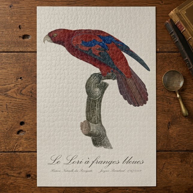 Long-Tailed Red Lory, Trichoglossus borneus Jigsaw Puzzle (Long-Tailed Red Lory, Trichoglossus borneus. Jigsaw Puzzle)
