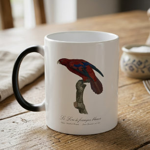 Long-Tailed Red Lory, Trichoglossus borneus Magic Mug
