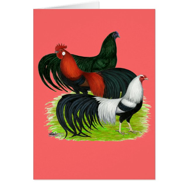 Long-tailed Rooster Trio (Front)