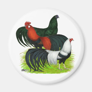 Long-tailed Rooster Trio Magnet