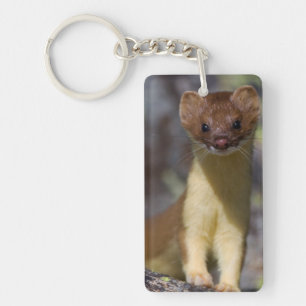 Long-tailed Weasel Keychain