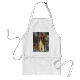 Long-tailed Weasel Standard Apron