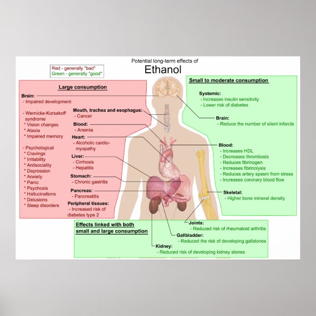 Long Term Effects of Ethanol Indigestion Chart (Front)