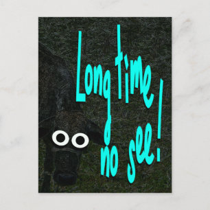 Long time no see. Cow. Animal Postcard