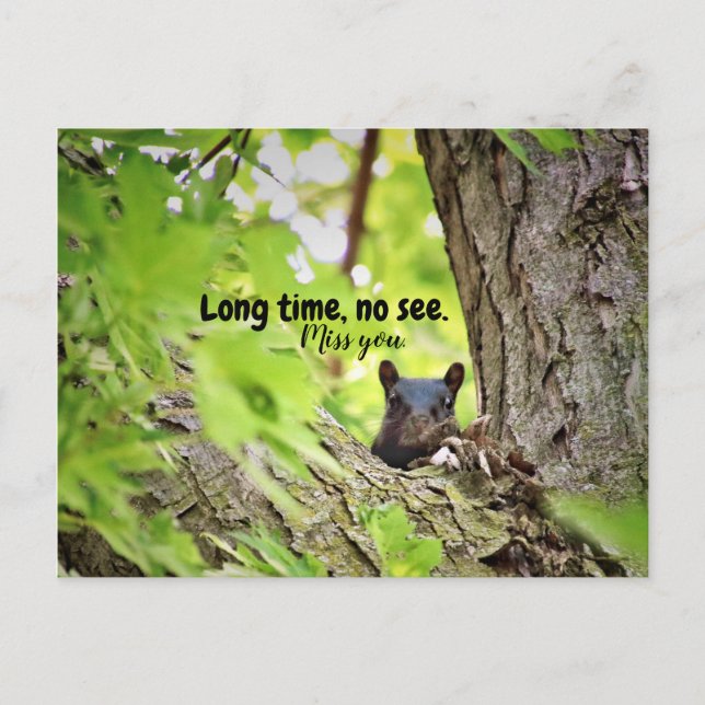 Long Time, No See Postcard (Front)