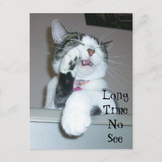 Long Time No See Postcard