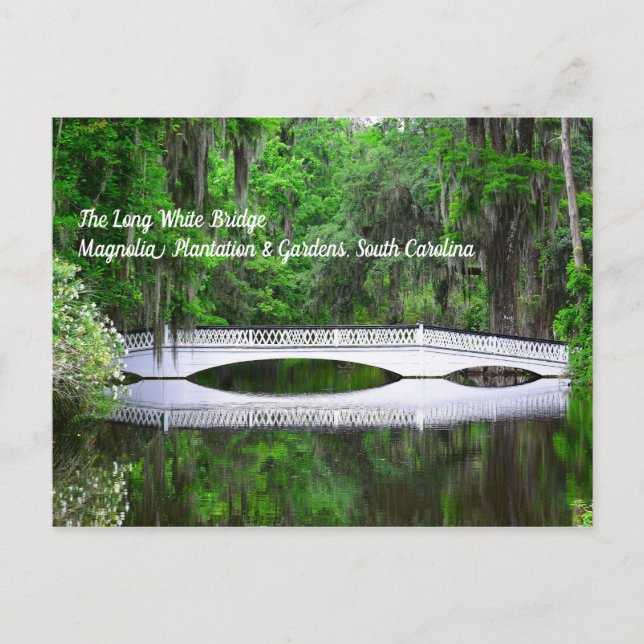 Long White Bridge Postcard (Front)