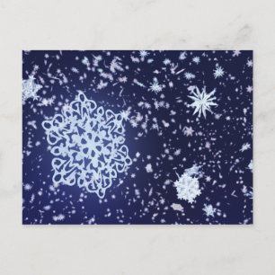 Long Winter's Night Postcard
