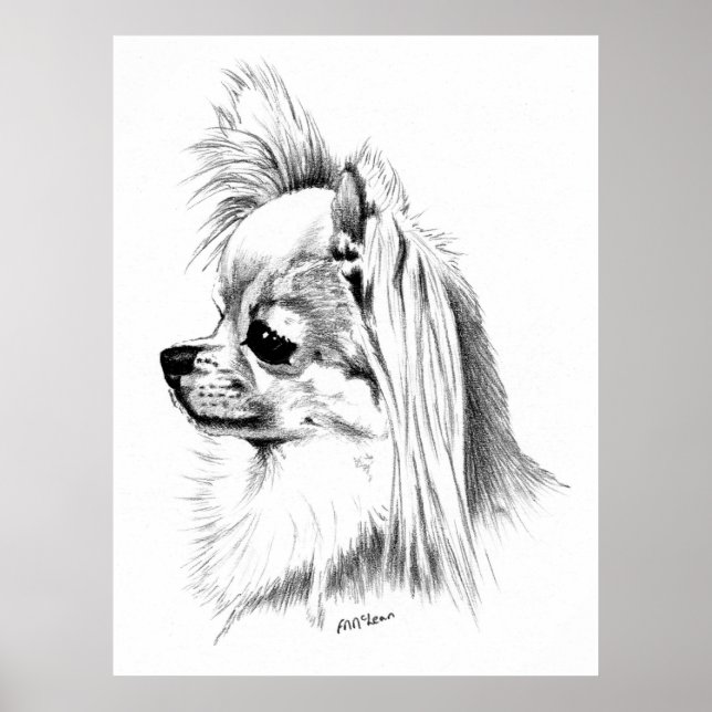 Longcoat Chihuahua Champion Poster (Front)