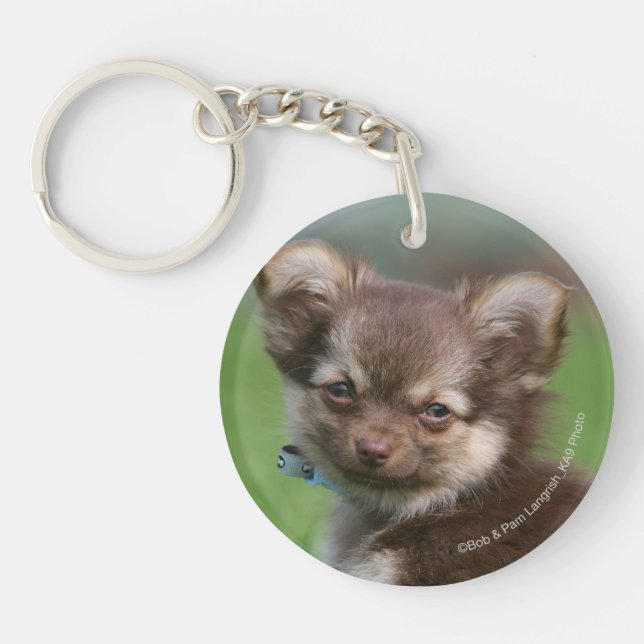 Longhaired Chihuahua Puppy Looking at Camera Keychain (Front)