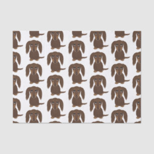 Longhaired Chocolate Dachshund Pattern   Cute Dogs Tissue Paper