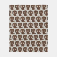 Longhaired Chocolate Dachshund | Wiener Dogs