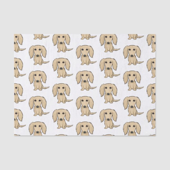 Longhaired Cream Dachshunds Pattern | Cute Dogs Tissue Paper (Front)