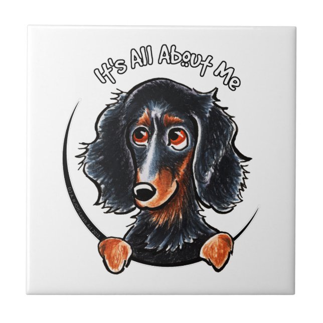 Longhaired Dachshund Black Tan IAAM Tile (Front)