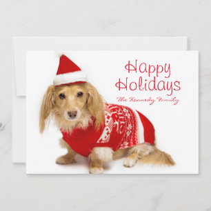 Longhaired dachshund wearing a red Christmas Holiday Card