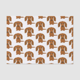 Longhaired Red Dachshund Pattern   Wiener Dogs Tissue Paper