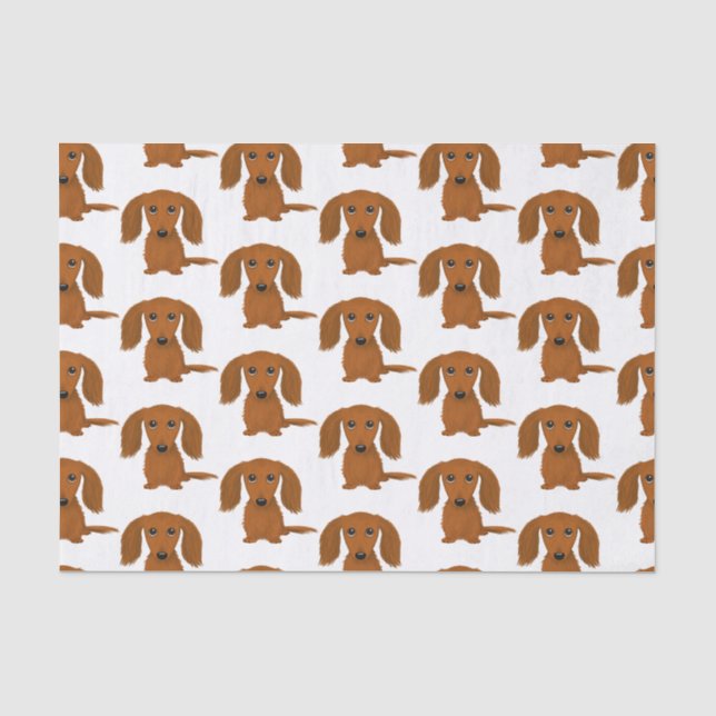 Longhaired Red Dachshund Pattern | Wiener Dogs Tissue Paper (Front)