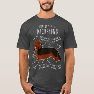 Longhaired Sable Dachshund Dog Anatomy T-Shirt