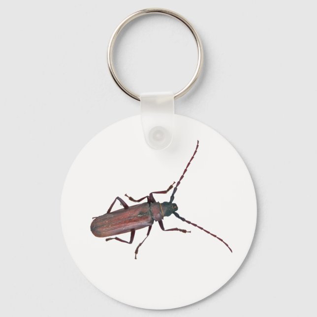 Longhorn Beetle Coordinating Items Keychain (Front)