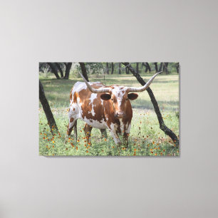 Longhorn Canvas Print