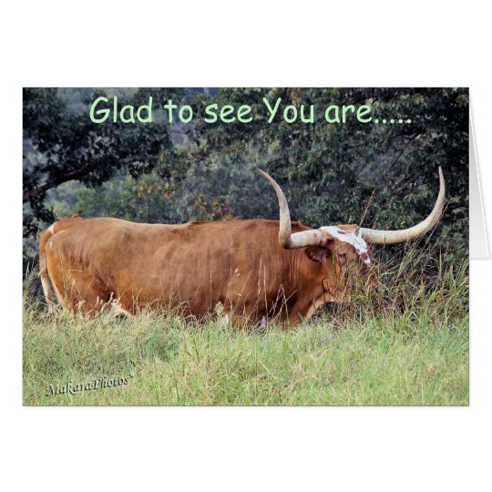 Longhorn-GW-customize Card