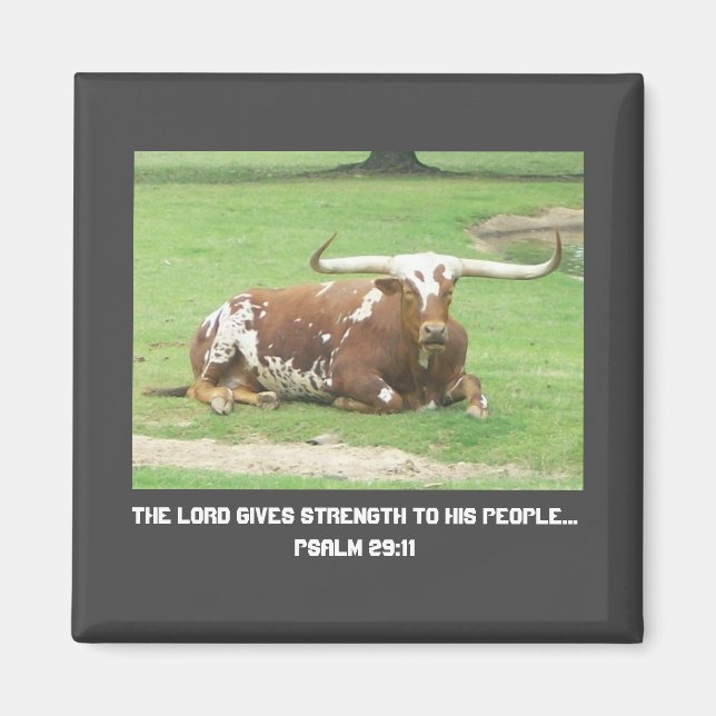 Longhorn Magnet (Devant)