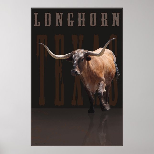 Longhorn Power Poster w/Text -40x60 -or smaller (Front)