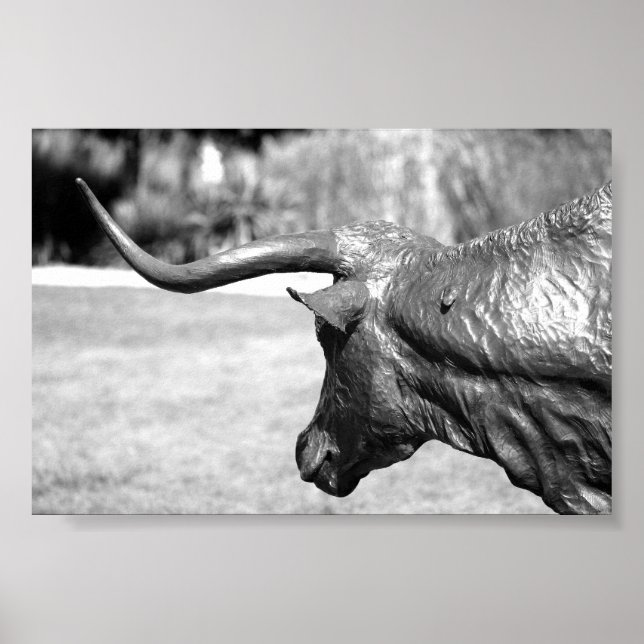 Longhorn Profile Poster (Front)