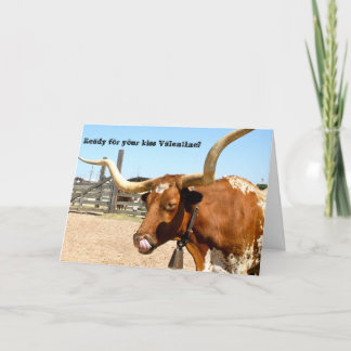 Longhorn steer ready to give you a valentine kiss holiday card