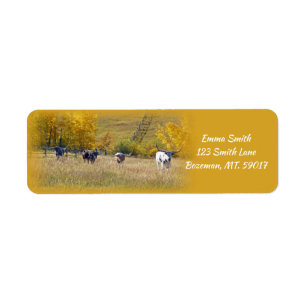 Longhorn Steers adresse de retour