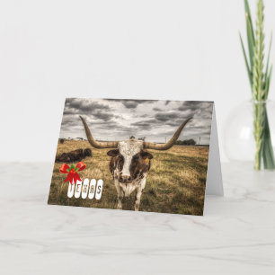 Longhorn Texas Christmas Card Greeting