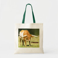 Longhorn Texas Pride