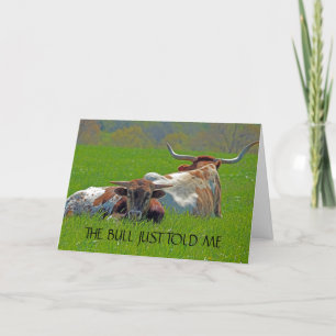 Longhorns dans un champ carte d'anniversaire