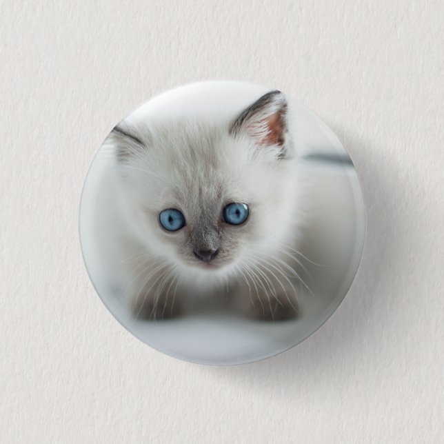 Longing for you: Lost white Kitten with blue Eyes 1 Inch Round Button (Front)