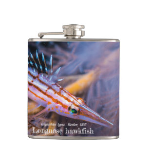 Longnose hawkfish hip flask