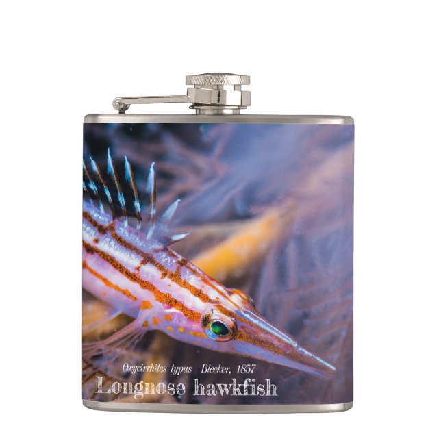 Longnose hawkfish hip flask (Front)