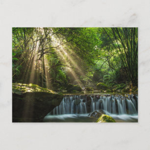 Longquan Glamourous Creek Postcard