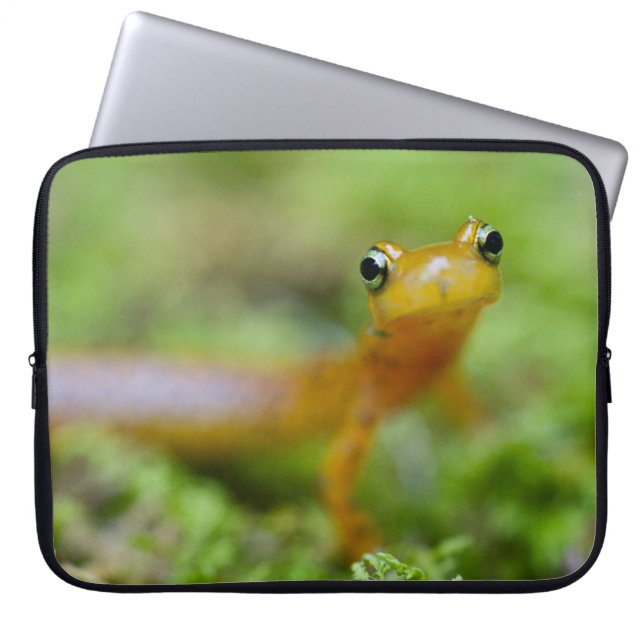 Longtail Salamander Laptop Sleeve (Front)