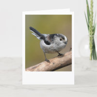 Longtailed tit.