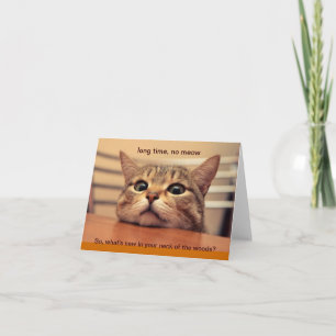 Longue Durée, Pas De Carte Meow