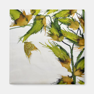 Longue Pods verts et aimant papillon