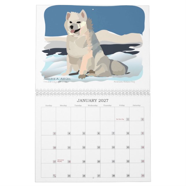 L'ONU petit Blanc - un calendrier pour des (Jan 2027)