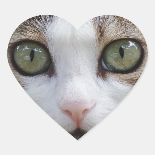 Look at My Eyes Heart Sticker