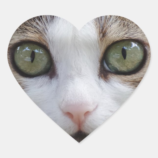 Look at My Eyes Heart Sticker (Front)