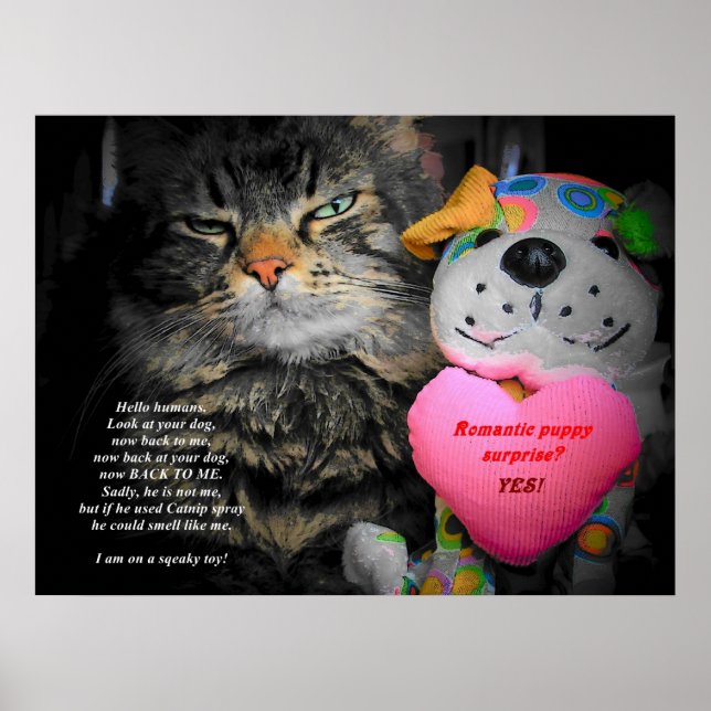 Look at Your Dog Now Look at Me Poster (Front)