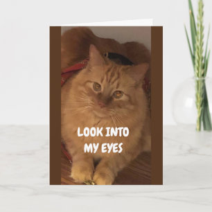 LOOK INTO MY EYES "HAPPY BIRTHDAY TO YOU" CARD