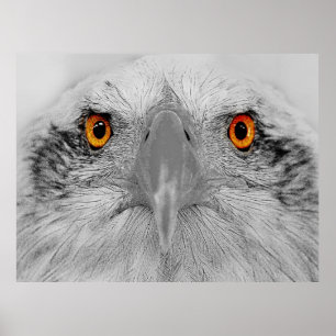 Look into my eyes poster